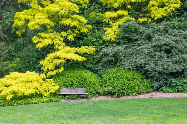 Hermoso Jardín Verde Con Banco Madera —  Fotos de Stock