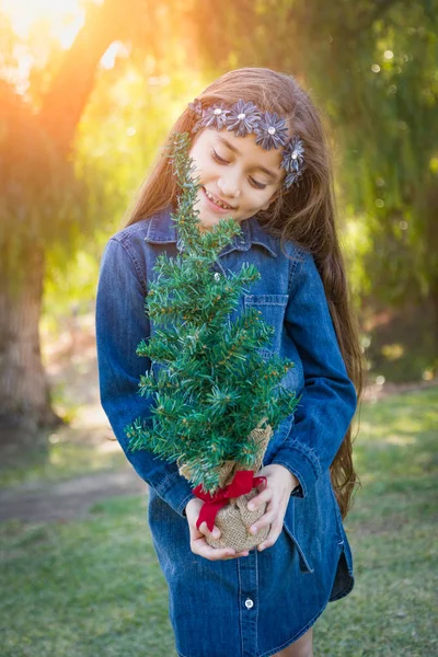 Linda Raza Mixta Chica Joven Sosteniendo Pequeño Árbol Navidad Aire —  Fotos de Stock