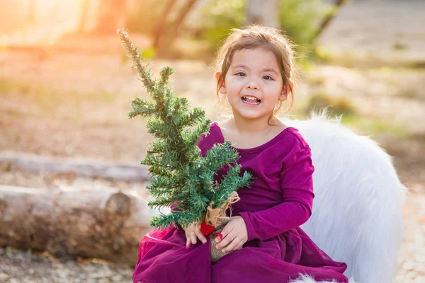 Bonito Misto Raça Jovem Bebê Menina Segurando Pequeno Natal Árvore — Fotografia de Stock