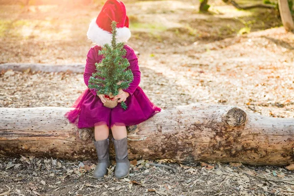 可爱的混赛年轻的女婴与圣诞老人帽子和圣诞树户外日志的乐趣 — 图库照片