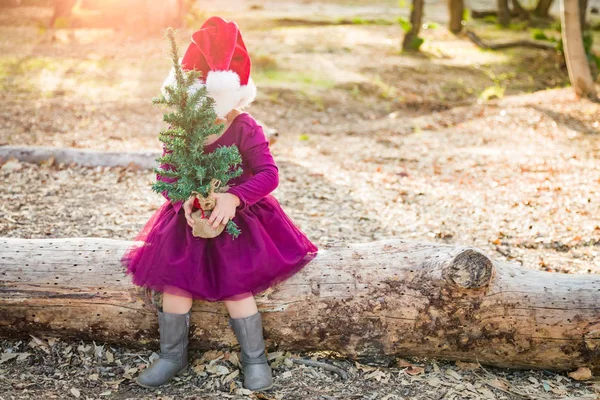 かわいい混血若い女児はログに屋外サンタ帽子とクリスマス ツリーの楽しい時を過す — ストック写真
