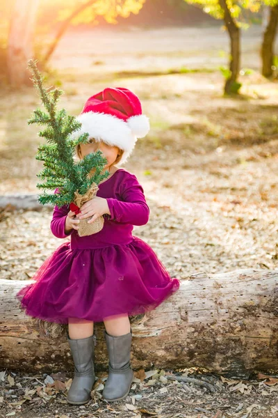 Küçük Şirin Karışık Yarış Genç Kız Eğleniyor Santa Şapka Noel — Stok fotoğraf