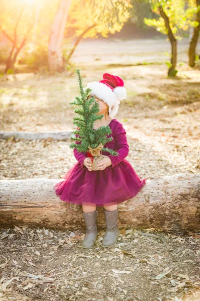 かわいい混血若い女児はログに屋外サンタ帽子とクリスマス ツリーの楽しい時を過す — ストック写真