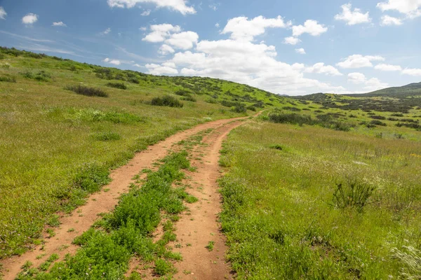 Feldweg in saftig grüner Wiese, der in die Hügel führt — Stockfoto