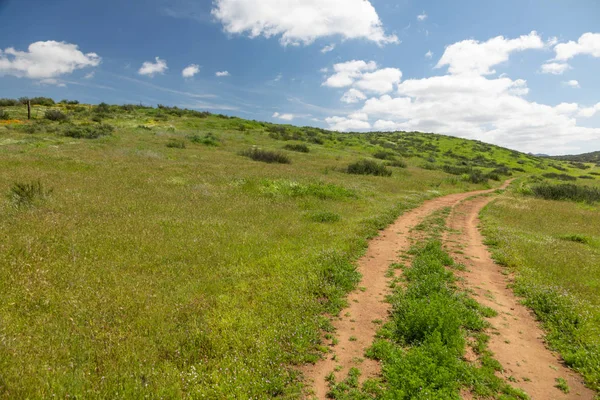 Strada sterrata nel prato verde lussureggiante che conduce alle colline — Foto Stock