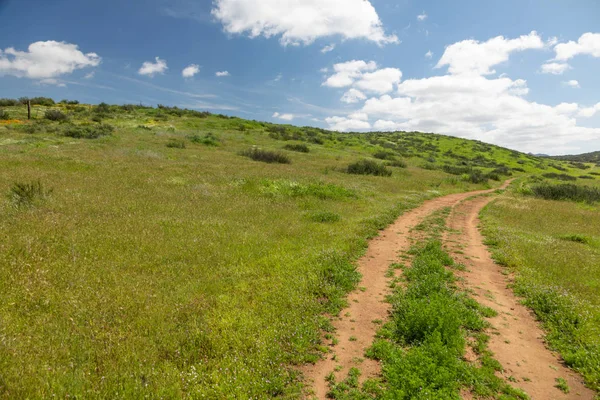 Feldweg in saftig grüner Wiese, der in die Hügel führt — Stockfoto