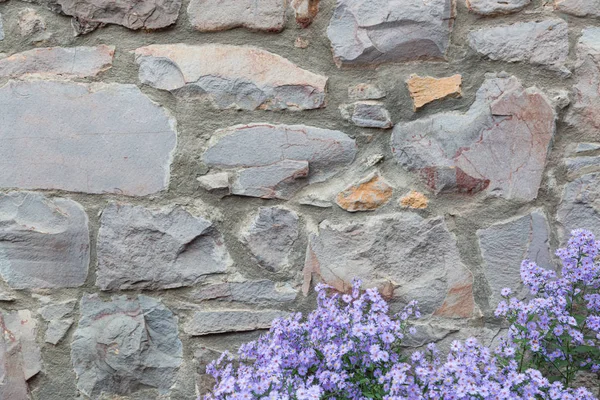 Old Stone Wall With Flowers Background Texture — Stock Photo, Image