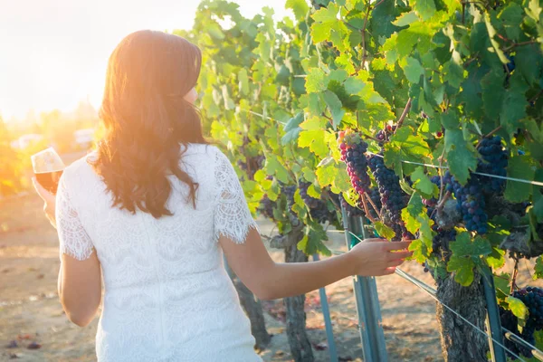 Jonge volwassen vrouw genieten van een glas wijnproeverij wandelen in de wijngaard — Stockfoto