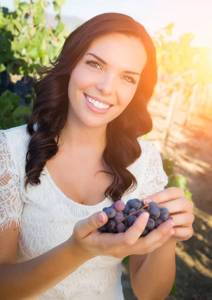 Mulher adulta jovem bonita desfrutando de um passeio na vinha de uva — Fotografia de Stock