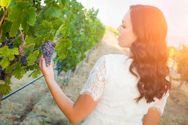 Mooie jonge volwassen vrouw genieten van een wandeling in de wijngaard — Stockfoto