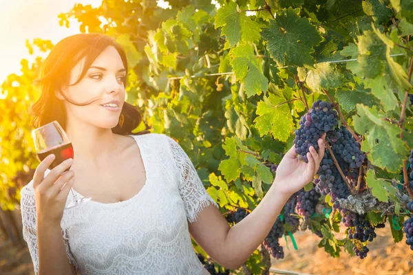 Bella giovane donna adulta che gode di un bicchiere di degustazione di vino passeggiando in vigna — Foto Stock