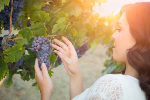 Mulher adulta jovem bonita desfrutando de um passeio na vinha de uva — Fotografia de Stock