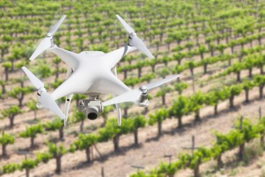 İnsansız Uçak Sistemi (İhA) Quadcopter Drone Üzüm Bağı Çiftliği Üzerinde Havada