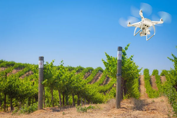 Bezzałogowy samolot system (UAV) quadcopter Drone w powietrzu ponad winogron winnic Farm — Zdjęcie stockowe