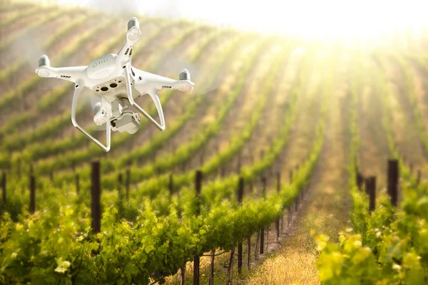 Bezzałogowy samolot system (UAV) quadcopter Drone w powietrzu ponad winogron winnic Farm. — Zdjęcie stockowe