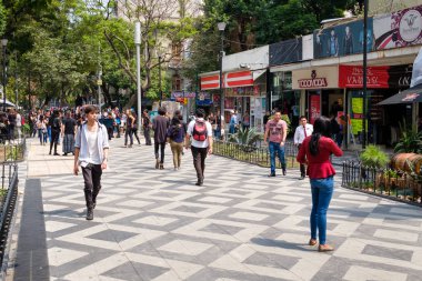 Zona Rosa, Mexico City, restoranlar, barlar ve canlı yaşam tarzı bilinen kozmopolit bir mahallede