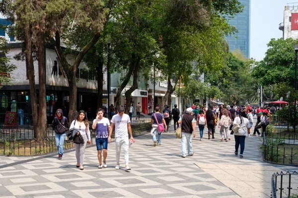 Zona Rosa, Mexico City, restoranlar, barlar ve canlı yaşam tarzı bilinen kozmopolit bir mahallede