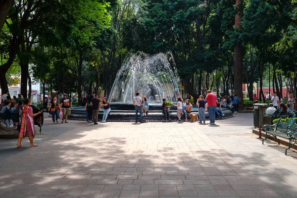 Jardin Hidalgo Coyoacan Tarihi Mahalle Güzel Bir Parkta — Stok fotoğraf