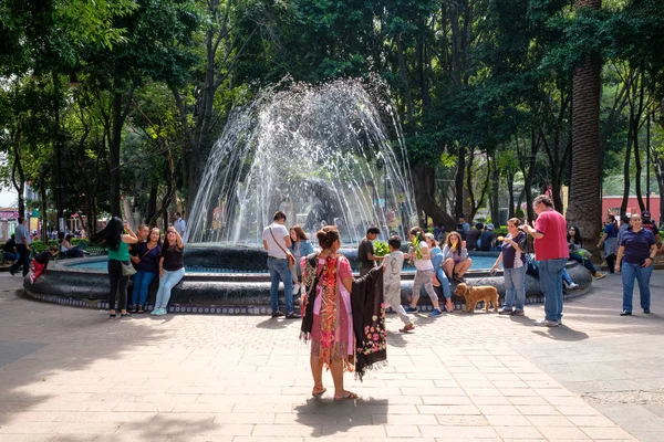 Jardin Hidalgo Vacker Park Den Historiska Stadsdelen Coyoacan — Stockfoto