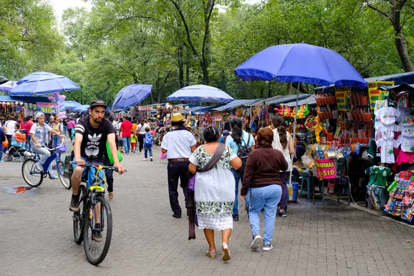 墨西哥城查普尔特佩克公园街市场 — 图库照片