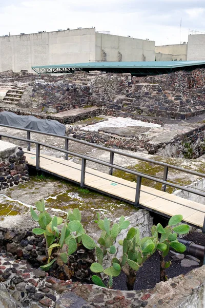 Ruines Préhispaniques Ville Aztèque Tenochtitlan Située Sur Ville Moderne Mexico — Photo