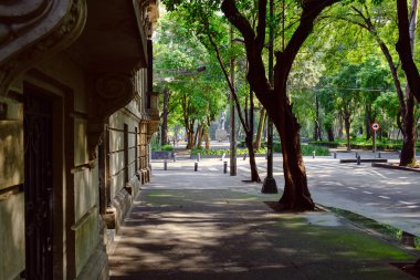 Roma Norte, Mexico City moda bir mahalle, sokak sahne