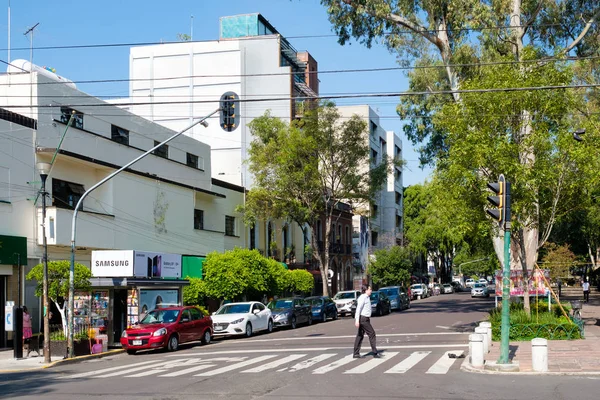 Avenida Álvaro Obregón Barrio Moda Roma Norte Ciudad México —  Fotos de Stock