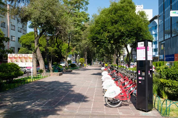 Avenida Álvaro Obregón Barrio Moda Roma Norte Ciudad México —  Fotos de Stock