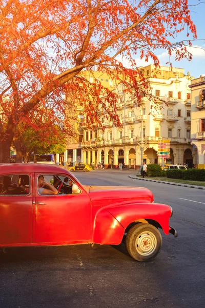 Stedelijke Scène Met Rode Oldtimer Bij Zonsondergang Havana — Stockfoto