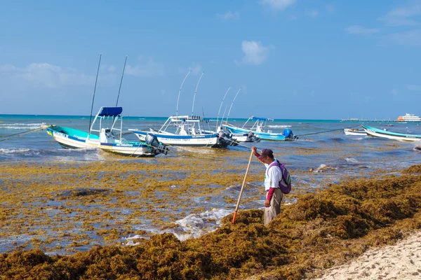 Trabajadores locales limpian la playa de algas en Playa del Carmen —  Fotos de Stock