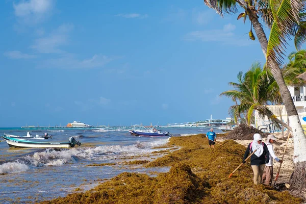 Trabalhadores locais limpando a praia de algas na Playa del Carmen — Fotografia de Stock