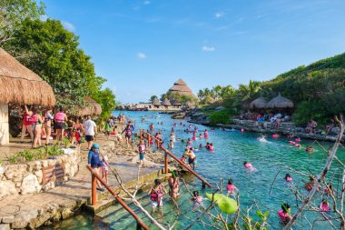 Meksika'da Maya Rivierası'ndaki Xcaret parkında şnorkelli yüzme
