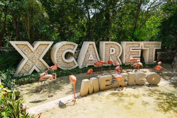 XCaret, un famoso parco ecoturistico sulla Riviera Maya messicana — Foto Stock