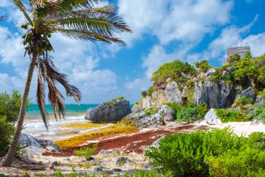 Meksika Tulum bir uçurumüzerinde güzel plaj ve maya kalıntıları