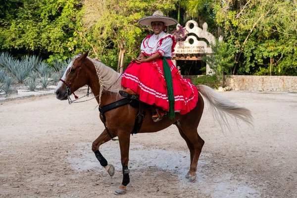 Young amazon riding a purebred horse at the XCaret park in Mexico — 스톡 사진