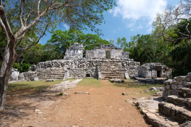 Meksika'da ormanda antik maya kalıntıları