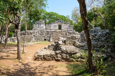 Meksika'da ormanda antik maya kalıntıları