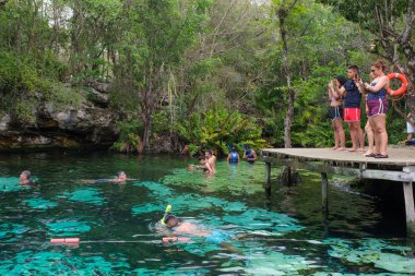 Meksika'da Yucatan ormanda açık hava cenote
