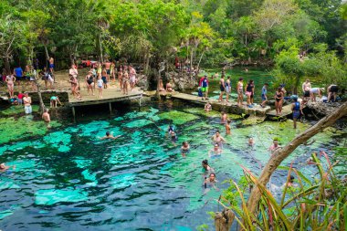 Meksika'da Yucatan ormanda açık hava cenote
