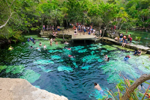 Cenote na otwartym powietrzu w dżungli Jukatan w Meksyku — Zdjęcie stockowe