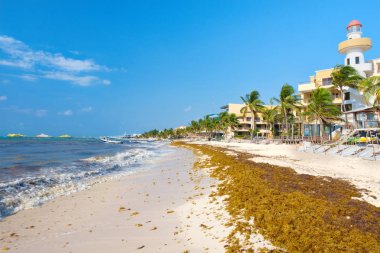 Meksika'da Maya Rivierası Playa del Carmen de plaj