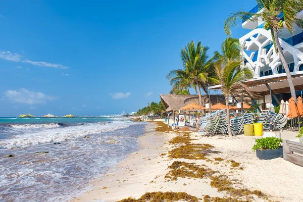 Meksika'da Maya Rivierası Playa del Carmen de plaj — Stok fotoğraf