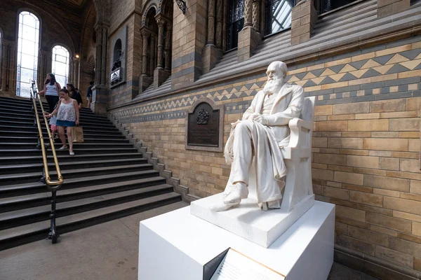 Standbeeld van Charles Darwin in het Natuurhistorisch Museum in Londen — Stockfoto