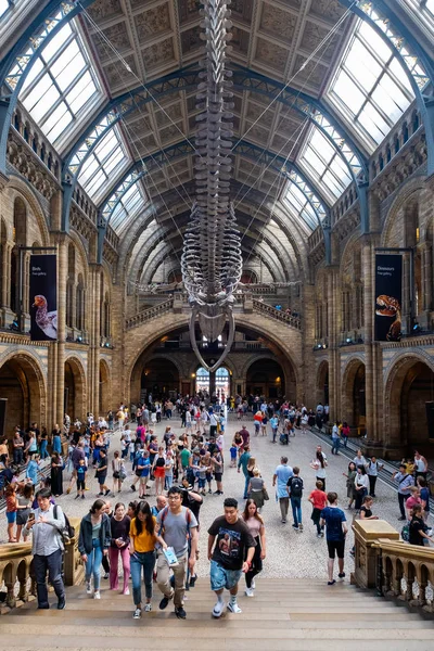 La Hintze Hall al Museo di Storia Naturale di Londra — Foto Stock