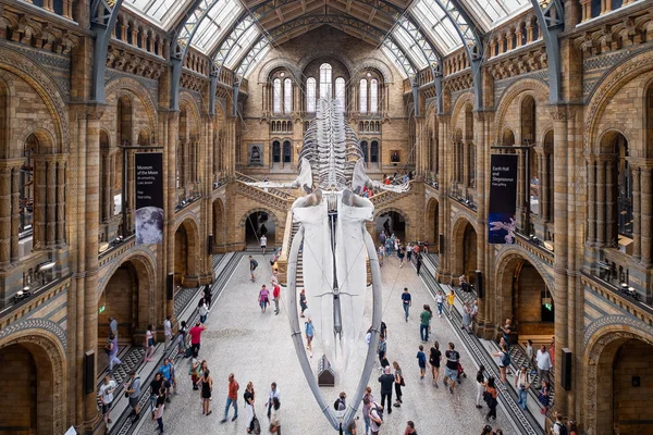 O Hintze Hall no Museu de História Natural de Londres — Fotografia de Stock