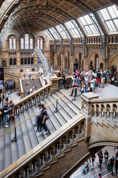 De Hintze Hall in het Natuurhistorisch Museum in Londen — Stockfoto