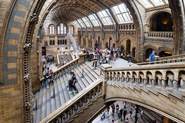 Hintze Hall w Muzeum historii naturalnej w Londynie — Zdjęcie stockowe