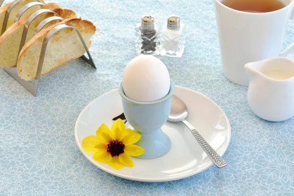Boiled egg in eggcup with toast and tea — Stock Photo, Image