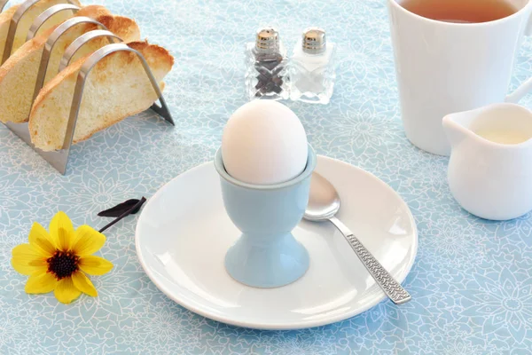 Ovo cozido em fundo azul e branco — Fotografia de Stock