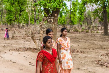Hindistan 'ın Madhya Pradesh kentindeki Bandhavgarh Milli Parkı' nda, Tala adında küçük bir köyde kimliği belirsiz kadınlar, yaklaşık Nisan 2011